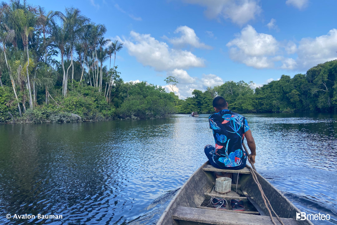 Parco nazionale dello Jauaperi - Manaus